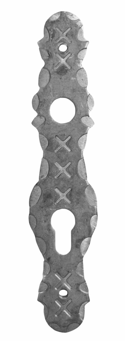 Κάλυμμα κλειδαριάς διαστάσεων 55Χ245mm (κωδικός: 432-02817)